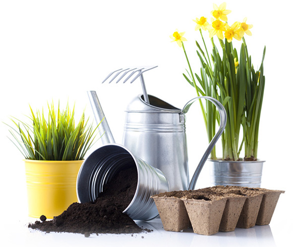 gardening-landscapes